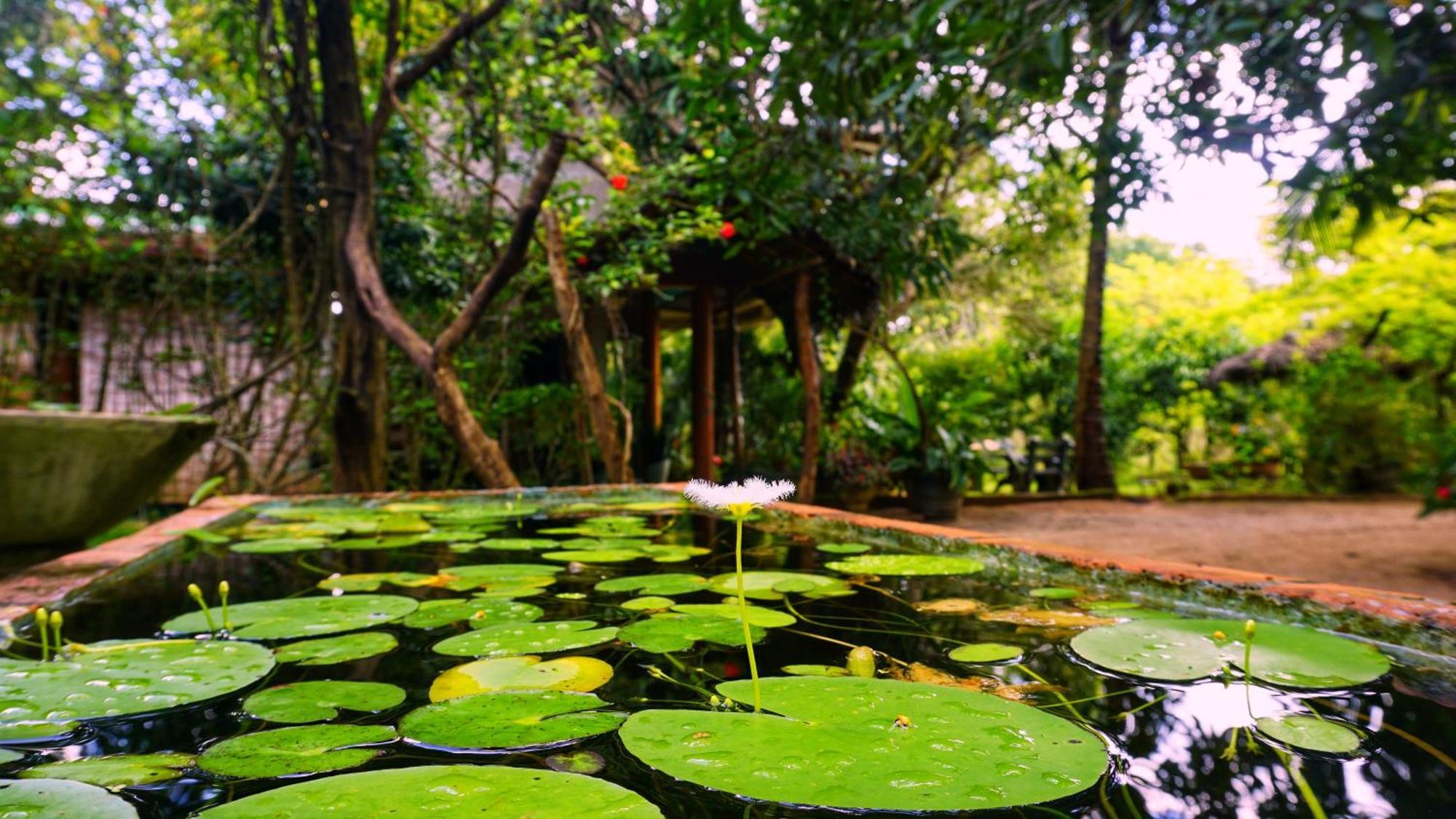 Sigiri Dilu Villa Sigiriya Exterior foto
